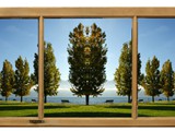 Leti.ch Fenster Panorama Fotorahmen Bäume Genfersee