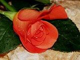06-Aug-06 080
