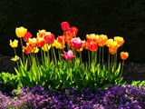 06-Mai-08 044