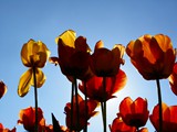 06-Mai-08 059