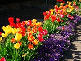 06-Mai-08 068