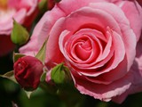 0906 785