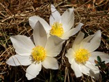 14-April-07 069