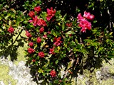 14-Juni-07 227