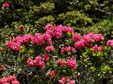 14-Juni-07 290