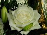 14-Mai-06 213
