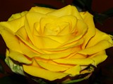 14-Mai-07 013