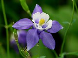 14-Mai-07 041