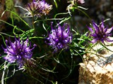 18-Juni-08 065