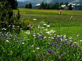19-Juni-07 016