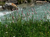19-Juni-07 022