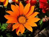 19-Juni-07 037