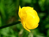 19-Juni-07 090