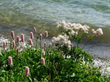 19-Juni-07 328