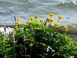 19-Juni-07 341