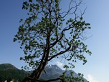 19-Juni-07 412