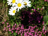 20-Juni-07 031