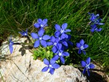20-Juni-07 079
