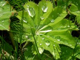 21-Mai-06 260