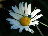 23-Aug-06 087