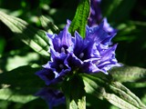 23-Aug-06 096
