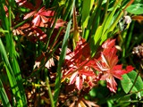 23-Aug-06 102