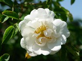 24-Mai-07 112