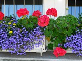 25-Aug-06 090