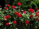 25-Mai-07 036