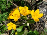 26-April-07 135