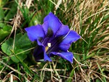 26-April-07 238