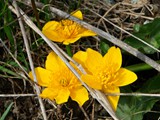 26-April-07 263