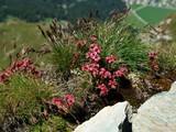 26-Juli-07 231