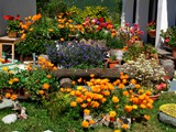 28-Juli-07 041
