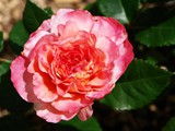 29-Juni-07 045
