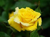 29-Juni-07 150