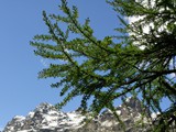 30-Mai-07 217