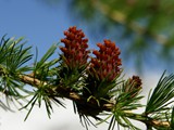 30-Mai-07 294