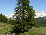 30-Mai-07 306