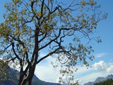 DSC04342