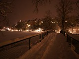 101217 077