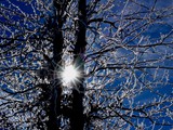 20-Jan-08 063