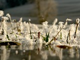 22-Dez-07 052