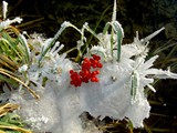 Eis 027