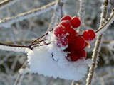 Hochwacht 019a