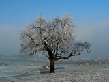 Hochwacht 062