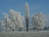 Landschaft 010