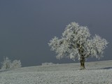 Landschaft 068